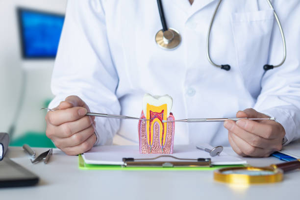 Best Knocked-Out Tooth Emergency  in New Madison, OH